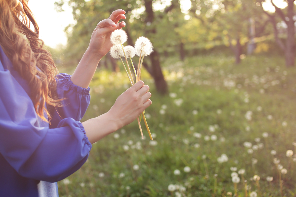 woman blowing dandelion in spring garden. Springtime. Trendy girl at sunset in spring landscape background. Allergic to pollen of flowers. Spring allerg